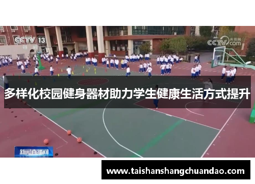 多样化校园健身器材助力学生健康生活方式提升
