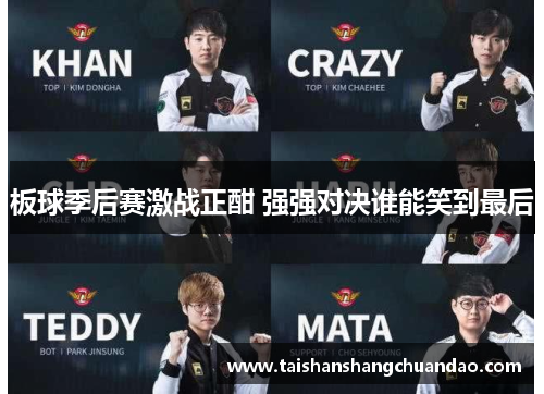 板球季后赛激战正酣 强强对决谁能笑到最后