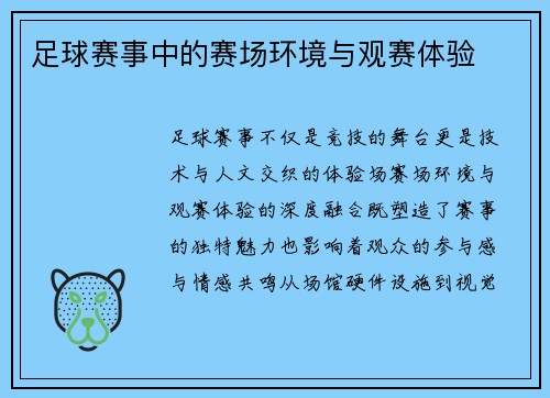 足球赛事中的赛场环境与观赛体验