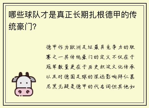 哪些球队才是真正长期扎根德甲的传统豪门？