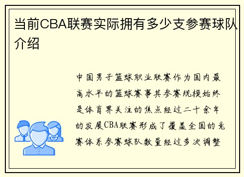 当前CBA联赛实际拥有多少支参赛球队介绍