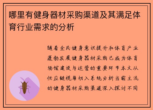 哪里有健身器材采购渠道及其满足体育行业需求的分析