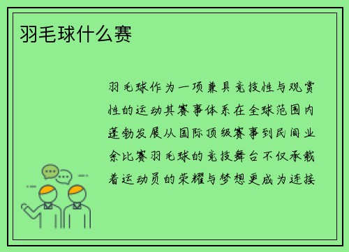 羽毛球什么赛