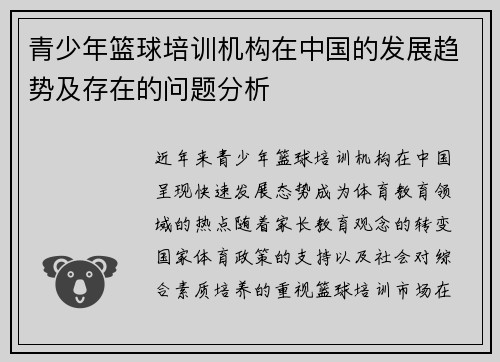 青少年篮球培训机构在中国的发展趋势及存在的问题分析